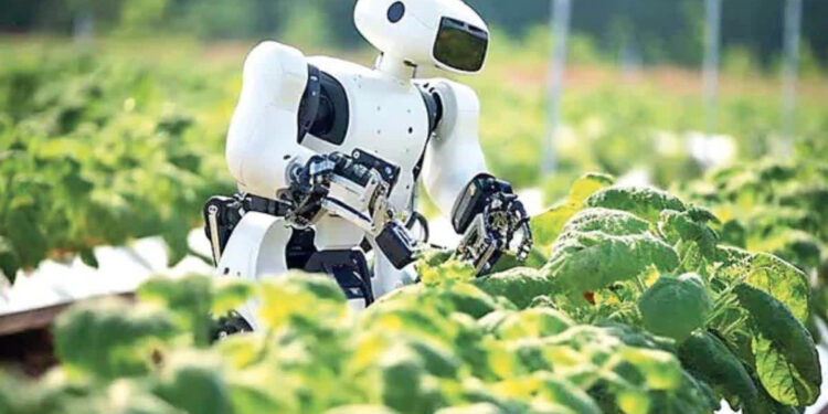 AI Robots Fill In For Weed Killers And Farm Hands
