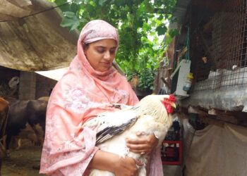 JKAS Aspirant Abandons Bureaucratic Dream to Embrace Farming Passion in Shopian’s Chitragam Village