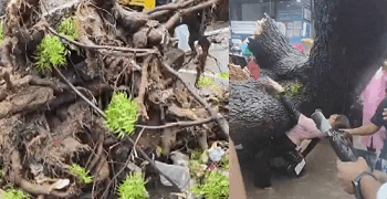 Death toll in Kishtwar cloudburst rises to 64 as rescue enters sixth day