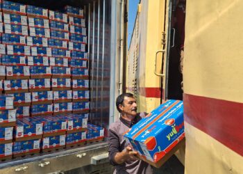 Kashmir to Delhi parcel train to operate on daily basis from Saturday: Railway Minister