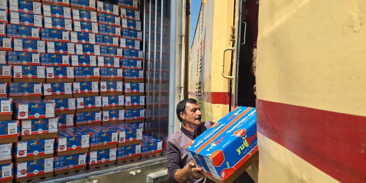 Kashmir to Delhi parcel train to operate on daily basis from Saturday: Railway Minister