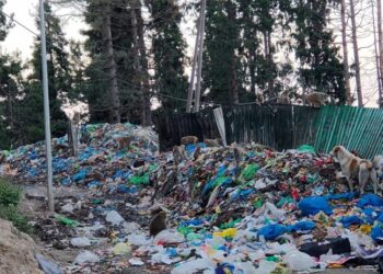 Rethinking Plastic in Jammu and Kashmir: Towards a Sustainable Future