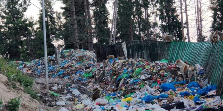 Rethinking Plastic in Jammu and Kashmir: Towards a Sustainable Future