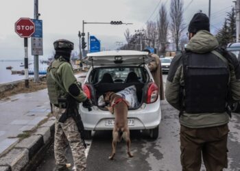 Security Forces Intensify Checks in Srinagar Ahead of Christmas, New Year