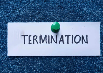 2 more govt employees terminated over terror links in J&K