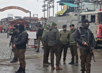 Police, CRPF Carry Out Door-to-Door Searches, in Srinagar's Habba Kadal, Drone Surveillance Deployed