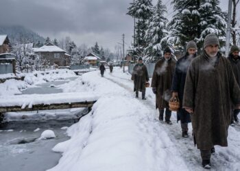Western Disturbance to Bring more Rain, Snow in J&K; Heavy Snowfall Likely From Feb 1–2