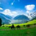 14 tourist destinations reopened after security review: LG Manoj Sinha
