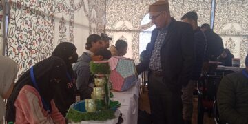 DIET Pulwama Hosts District Level INSPIRE Awards-MANAK Exhibition at BHSS Pampore; 6 Students Nominated for UT Level