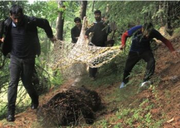 Over 15,000 human-wildlife conflict cases in 2 years, no major spike: J&K Govt
