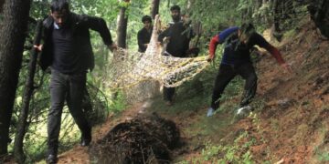 Over 15,000 human-wildlife conflict cases in 2 years, no major spike: J&K Govt