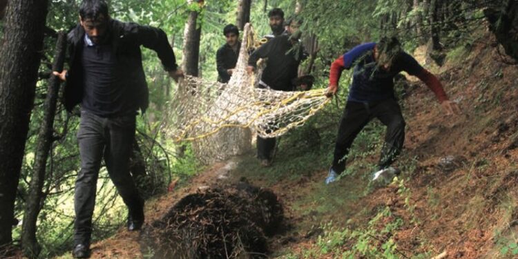 Over 15,000 human-wildlife conflict cases in 2 years, no major spike: J&K Govt